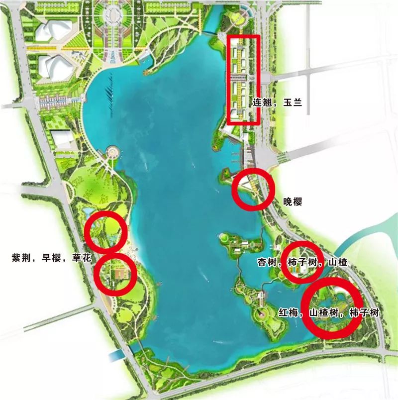 太白湖新区石桥规划图图片