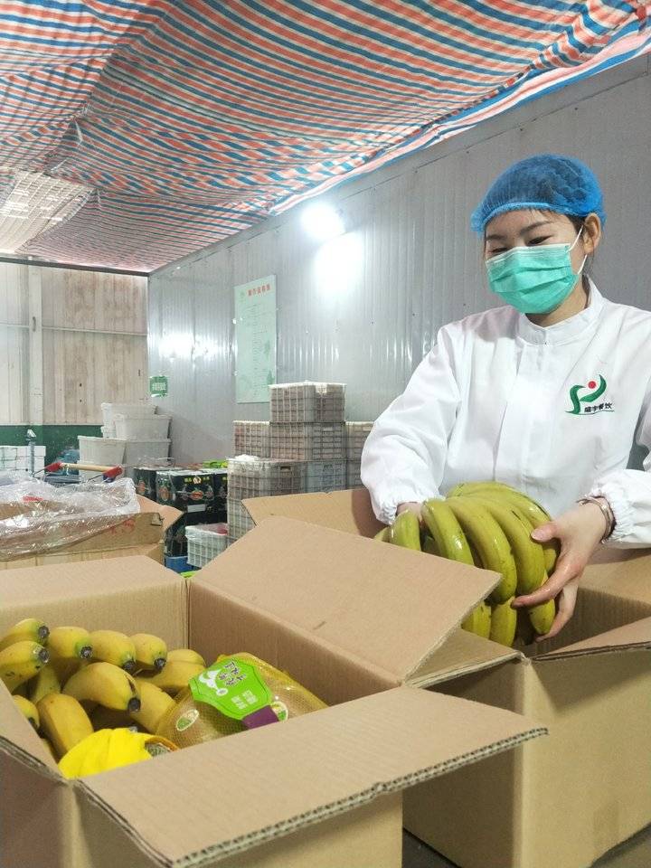 济宁市供销社推出同城配送服务蔬菜水果从基地直达餐桌